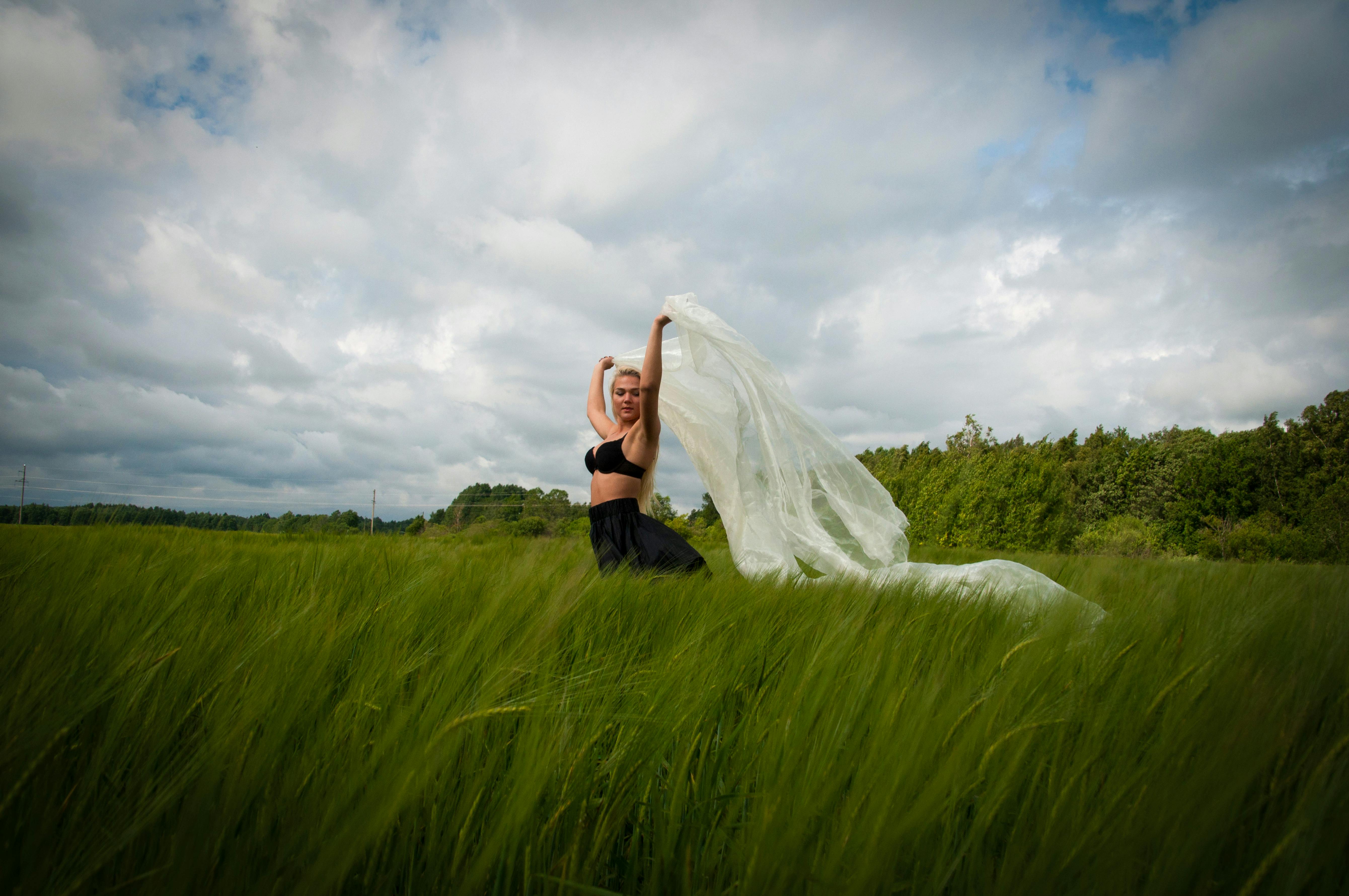 专题栏目配图：观看路线